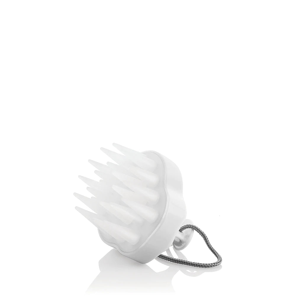 Colorproof Scalp Cleansing Brush
