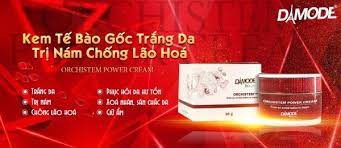 DAMODE BEAUTY Orchistem Cream 30 g