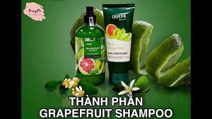 DAMODE BEAUTY Grapefruit Shampoo 500 ml