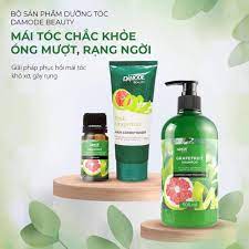 DAMODE BEAUTY Grapefruit Shampoo 500 ml