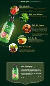 DAMODE BEAUTY Grapefruit Shampoo 500 ml