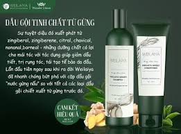 Weilaiya Ginger Shampoo 400 ml & Conditioner 250 ml Set