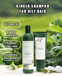 Weilaiya Ginger Shampoo 400 ml & Conditioner 250 ml Set