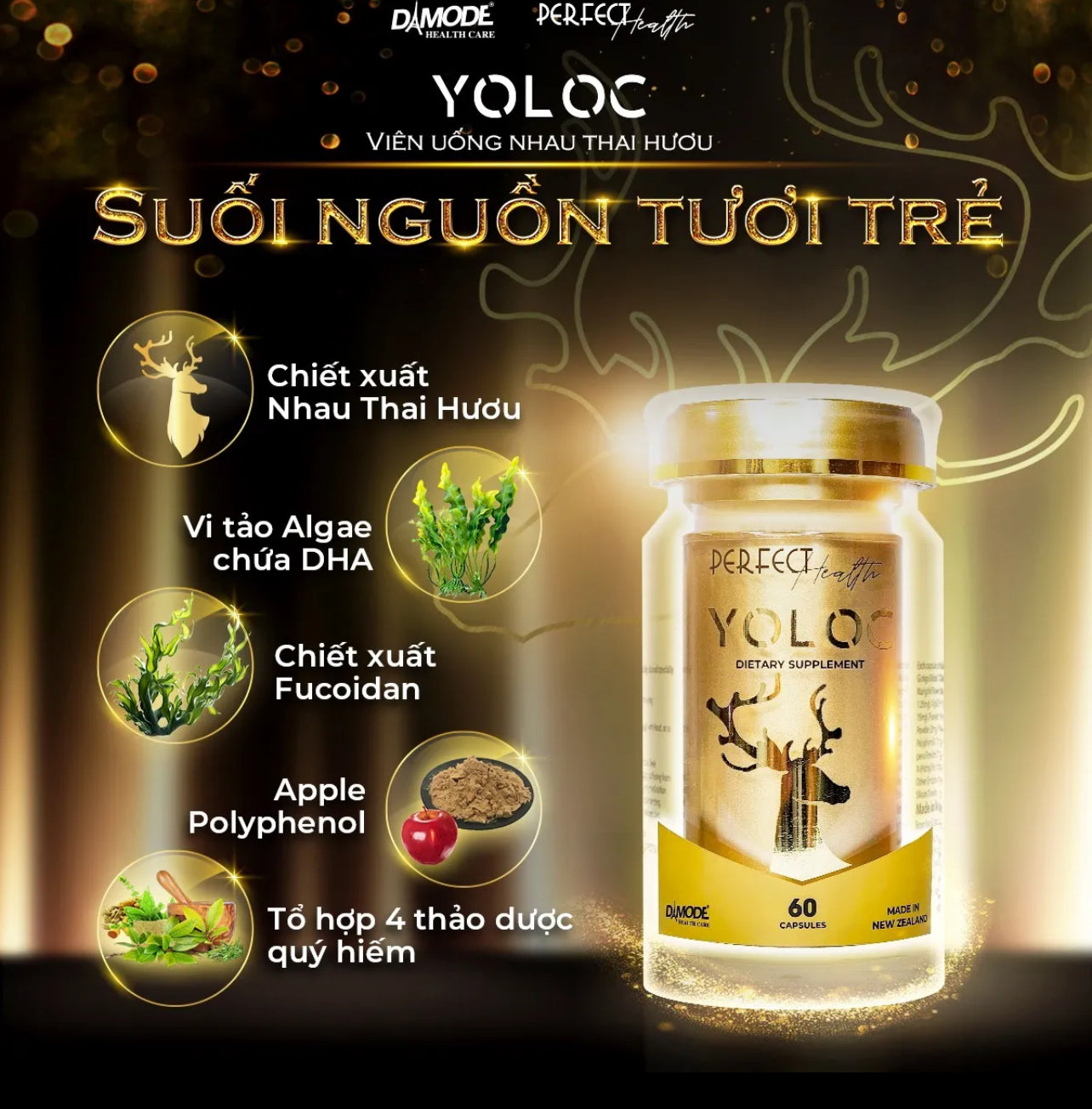 DAMODE YOLOC - 60 Capsules