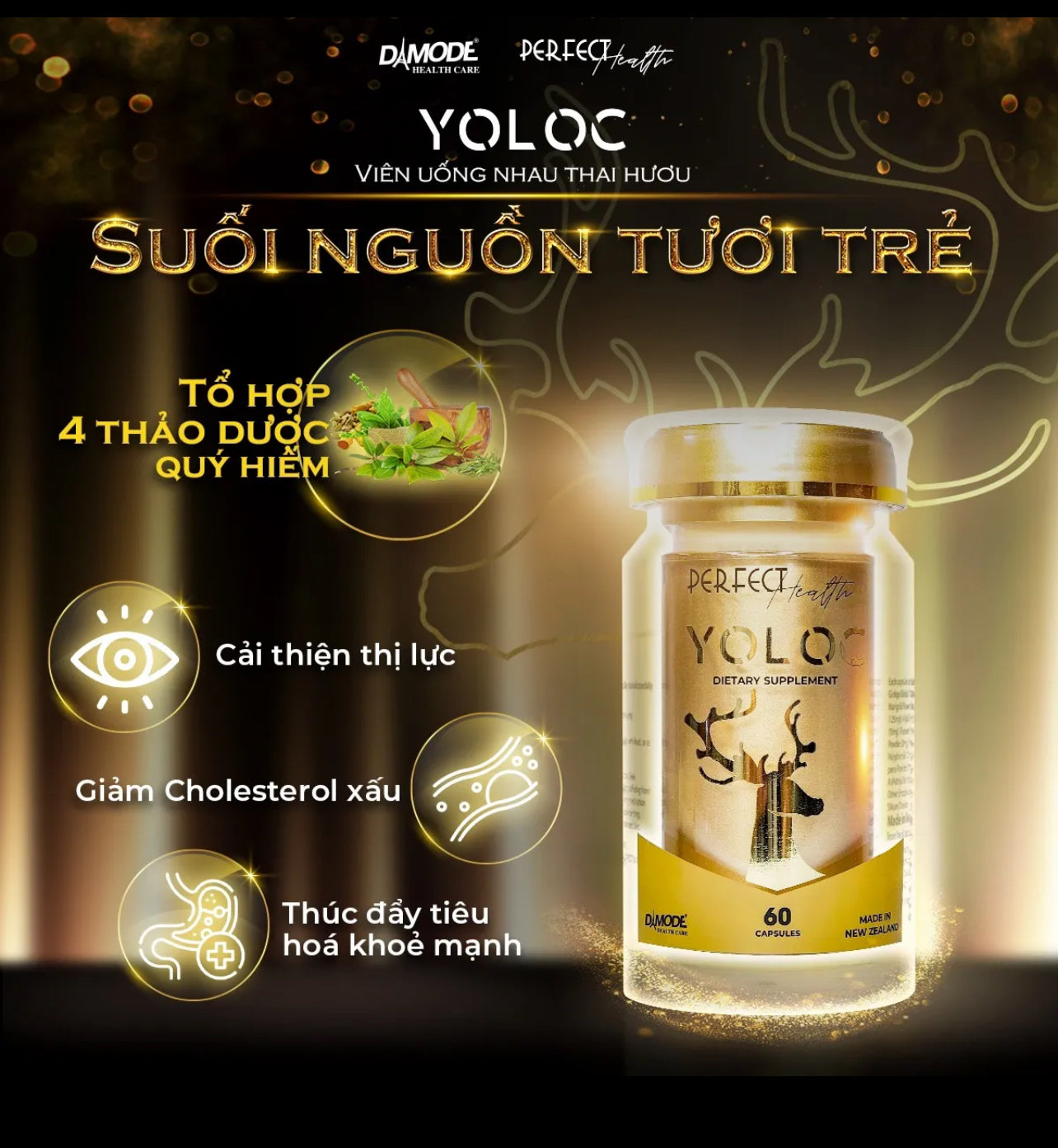 DAMODE YOLOC - 60 Capsules